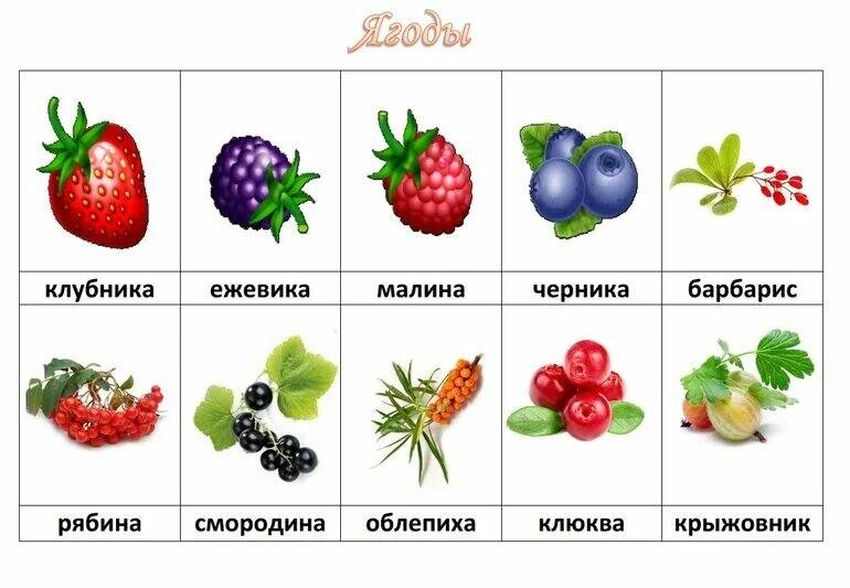 Ягоды для детей