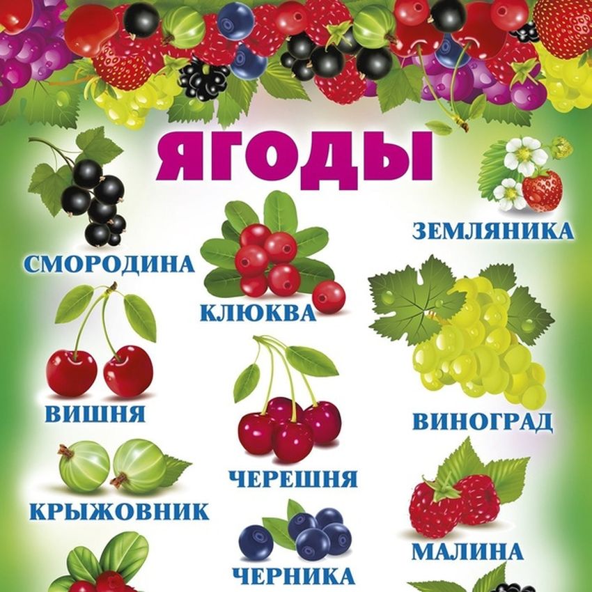 Плакат ягоды