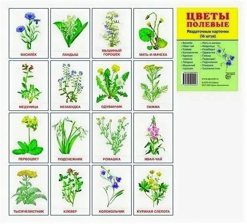 Карточки цветы