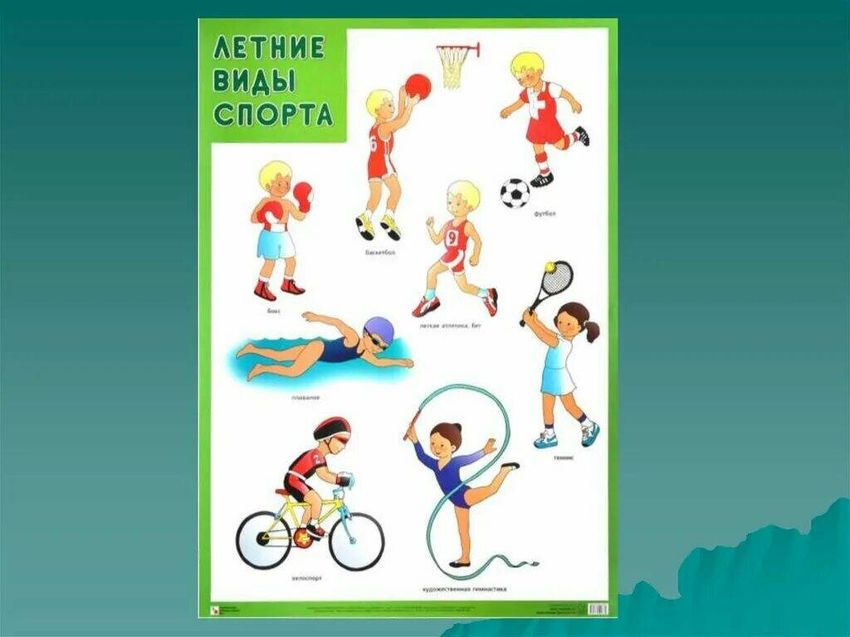 Виды спорта для детей