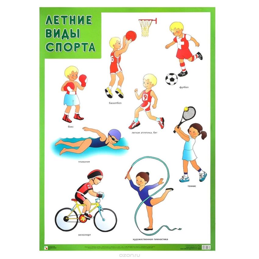 Плакат виды спорта