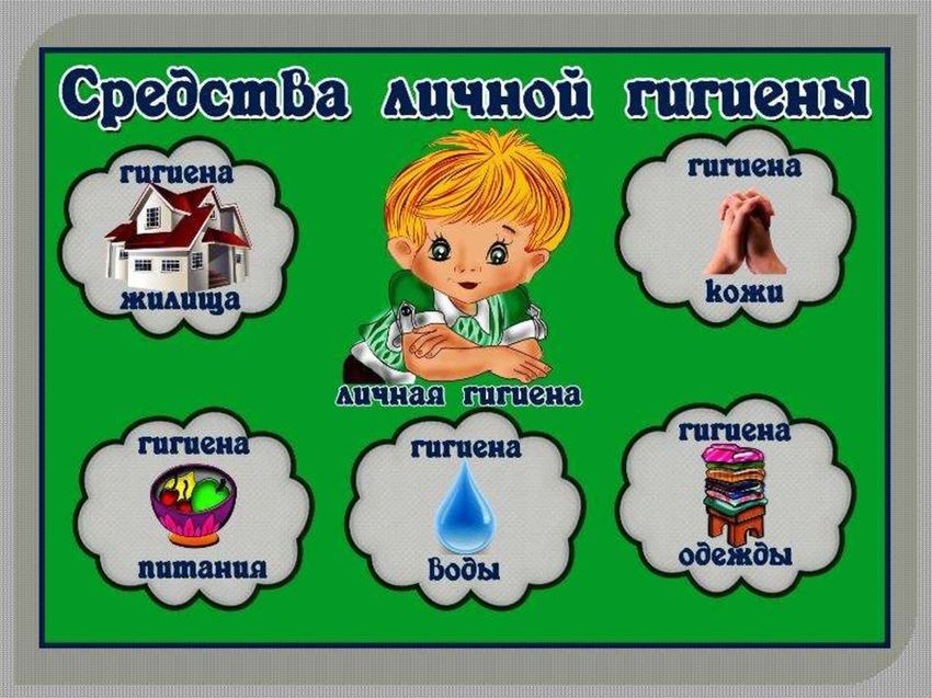 Правила гигиены