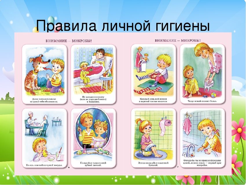 Правила личной гигиены