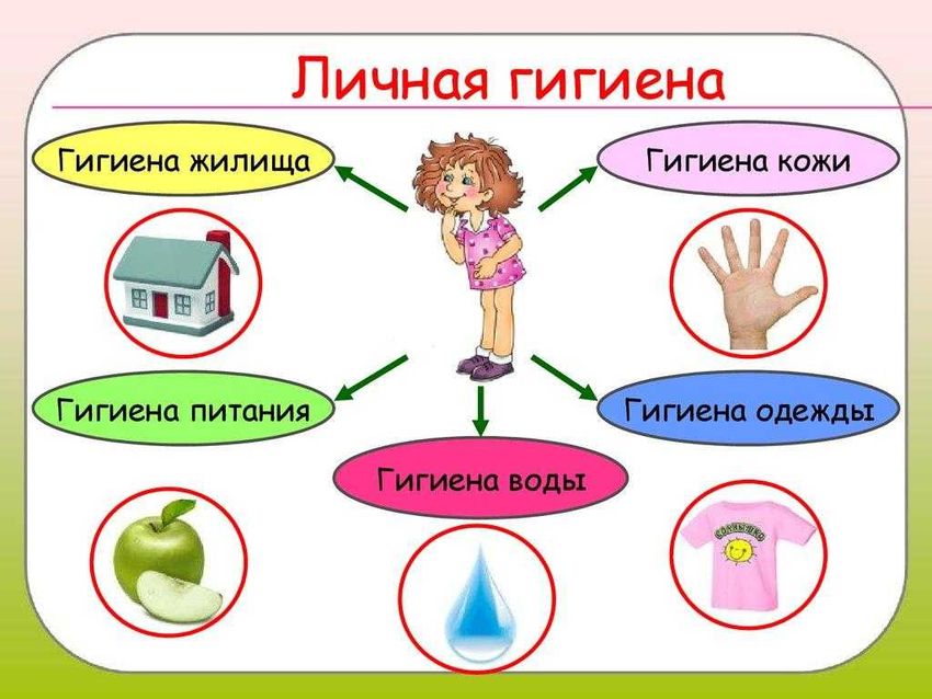 Правила гигиены