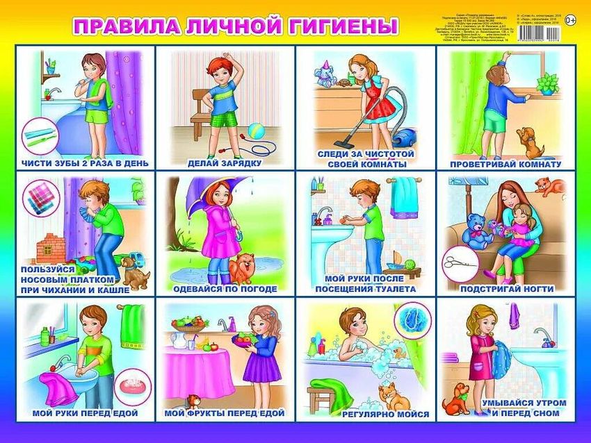 Правила личной гигиены