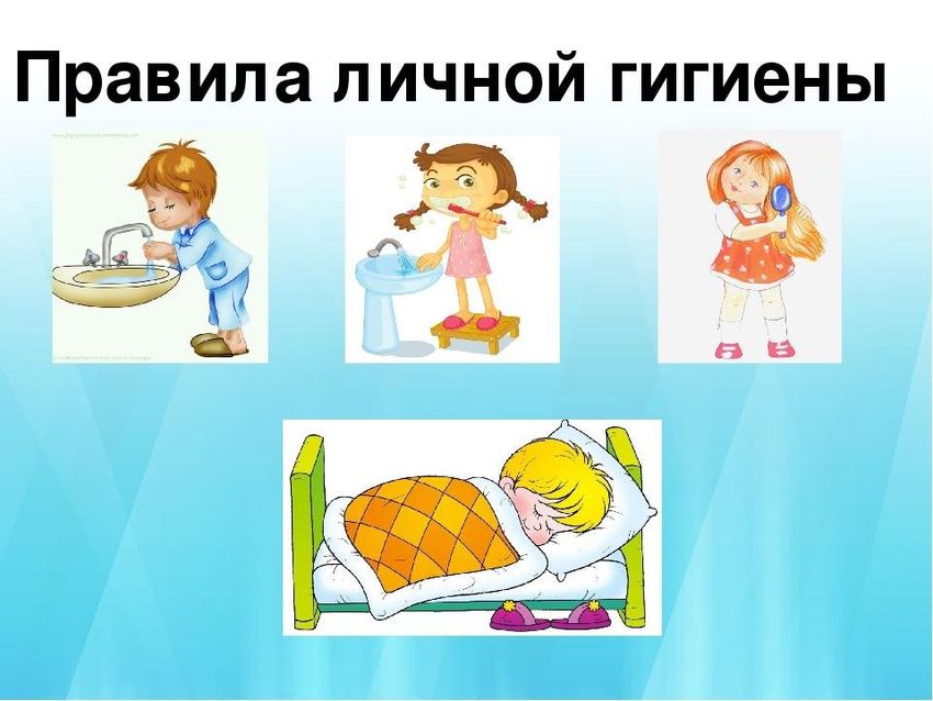 Правила гигиены