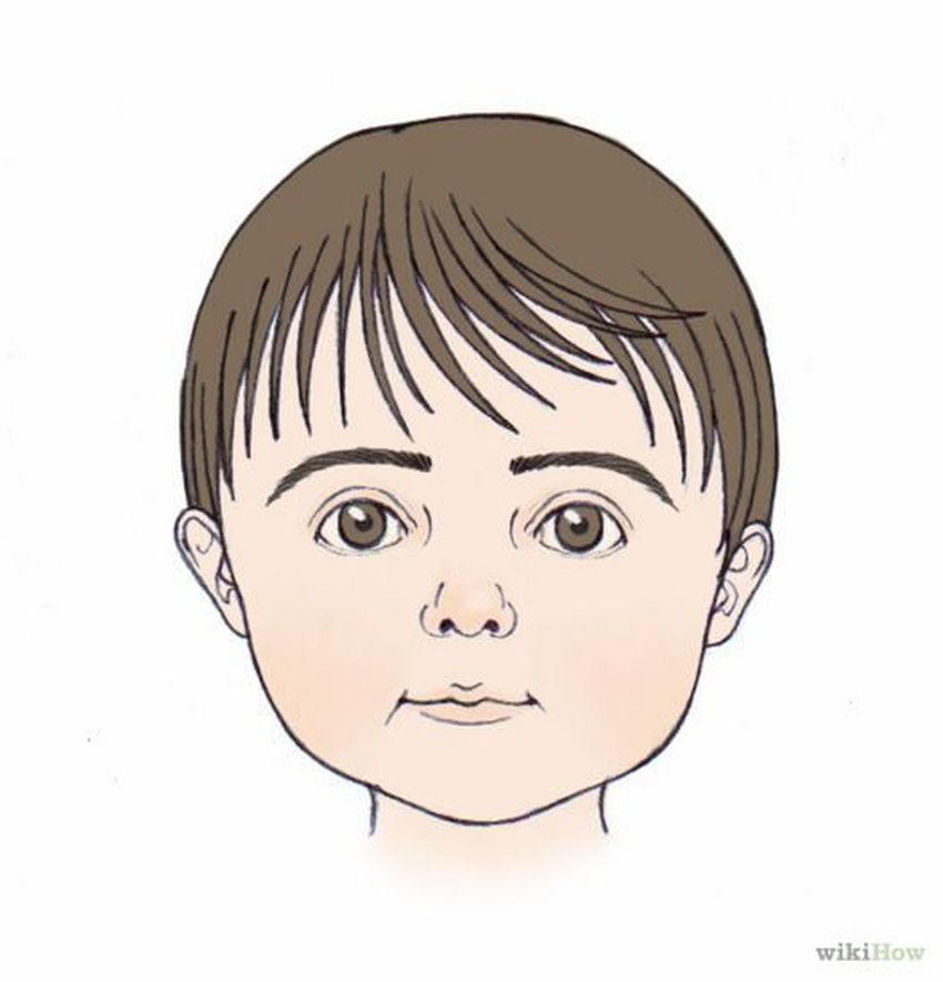 Лицо человека для детей