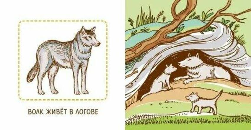 Логово волка для детей