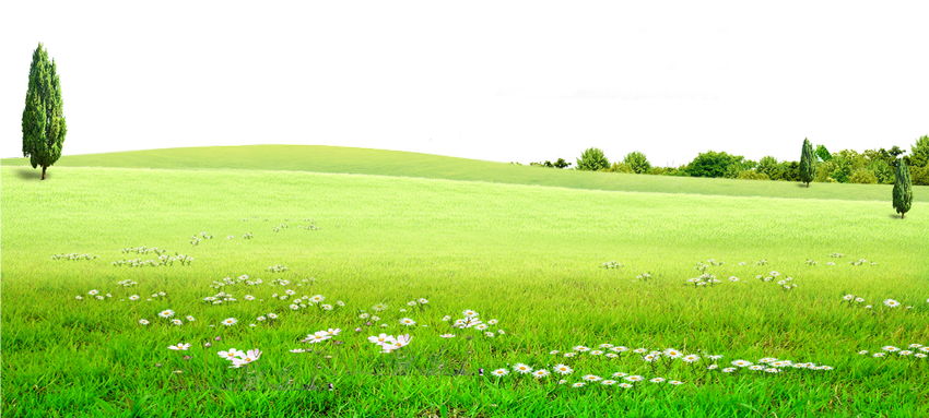 Фон зеленый луг