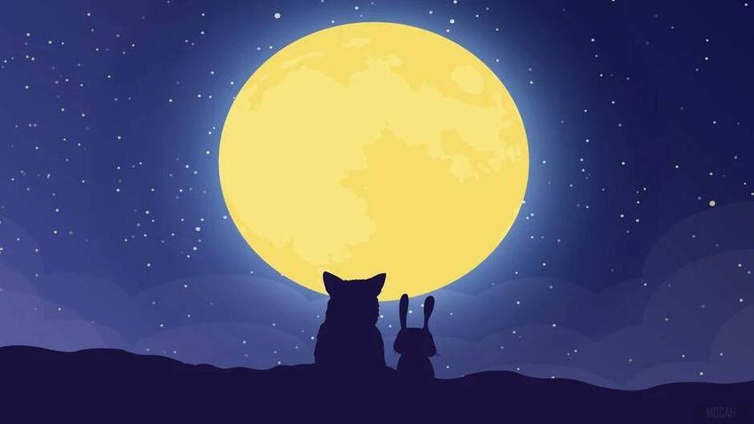 Лунная кошка