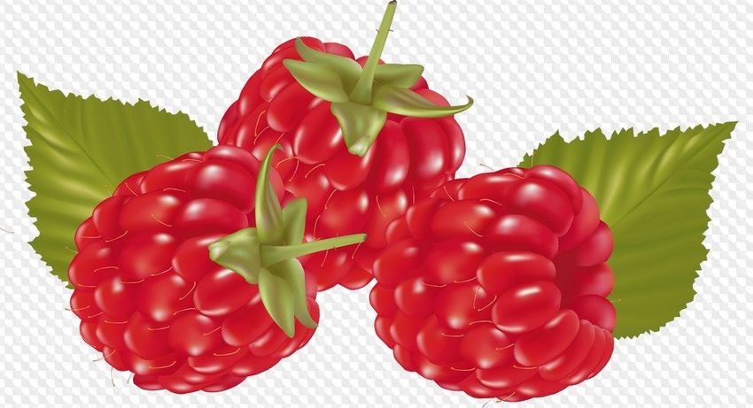 Малина на прозрачном фоне
