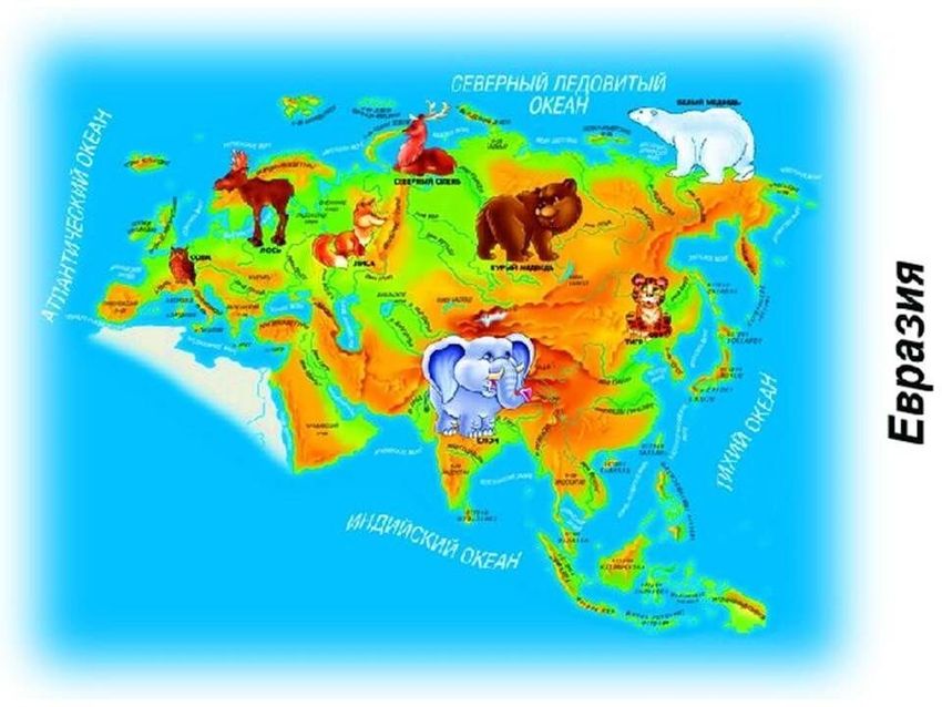 Карта мира с животными для детей
