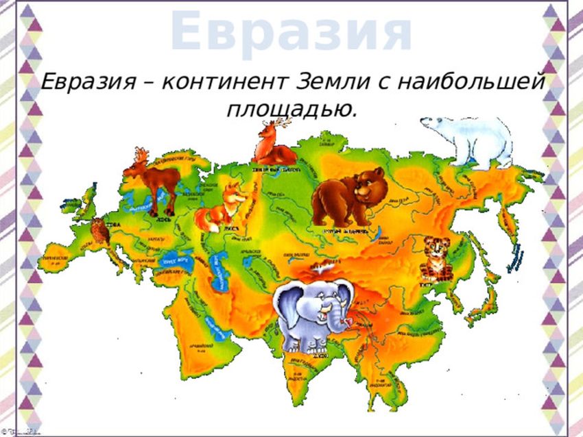 Евразия животные