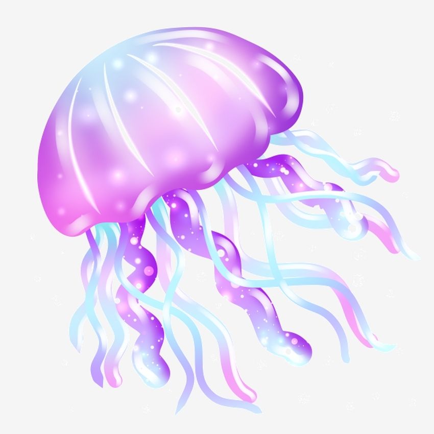 Медуза джеллифиш