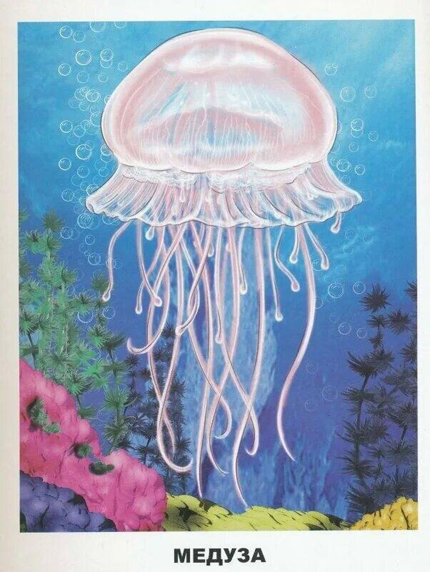 Рисуем медузу