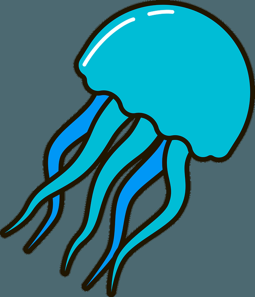 Медуза на белом фоне