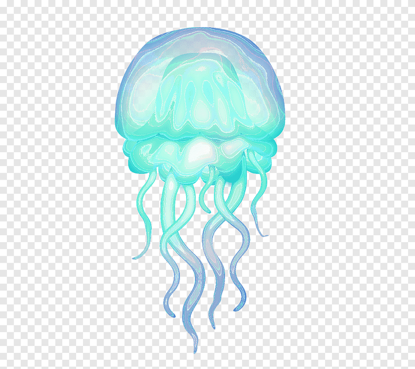 Медуза на прозрачном фоне