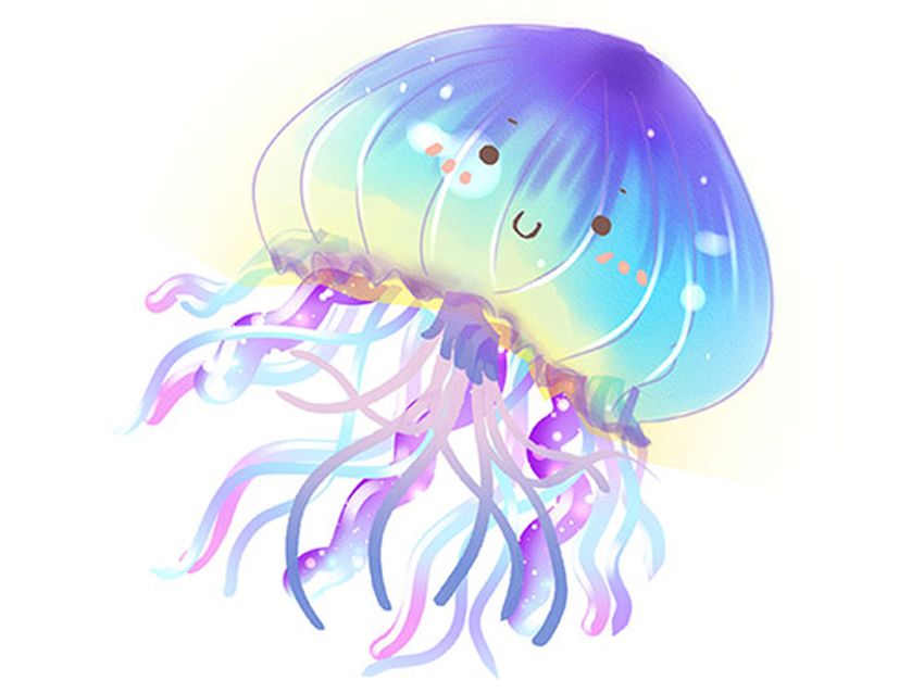 Медуза на белом фоне