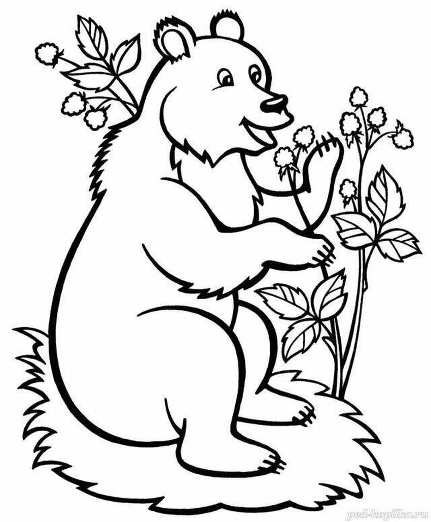 Раскраски для детей медведь