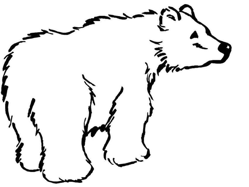 Раскраска для детей медведь