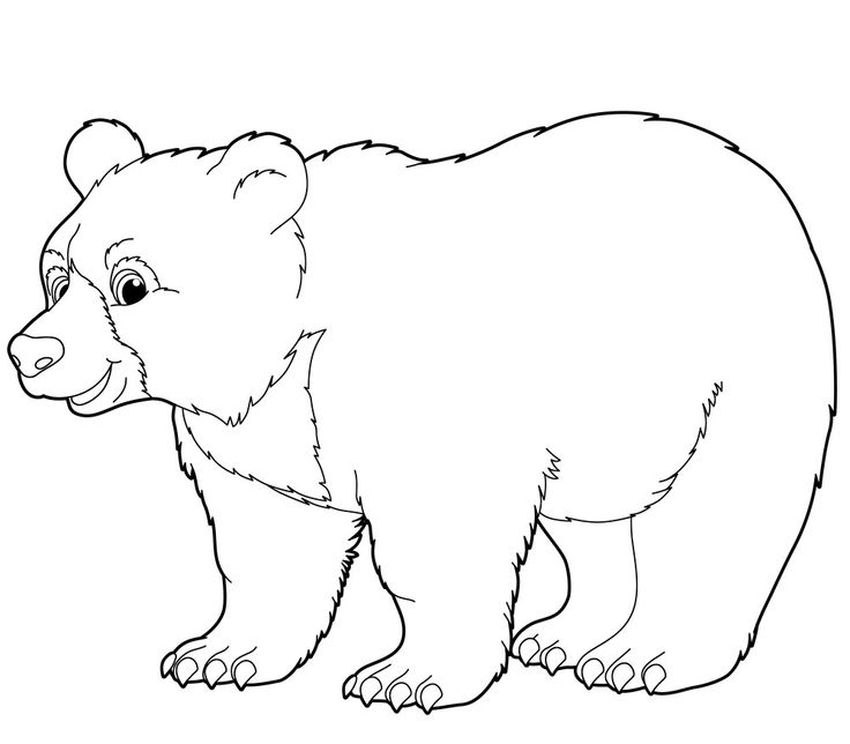 Раскраска медведь для детей