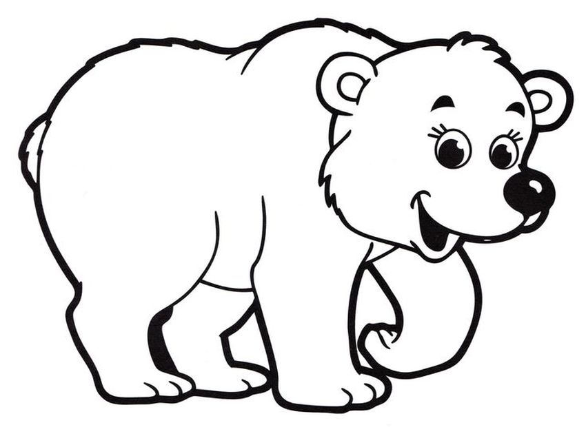 Раскраска бурый медведь