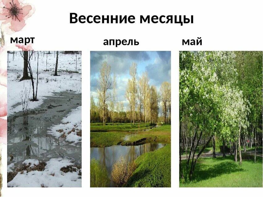 Месяц май картинки для детей