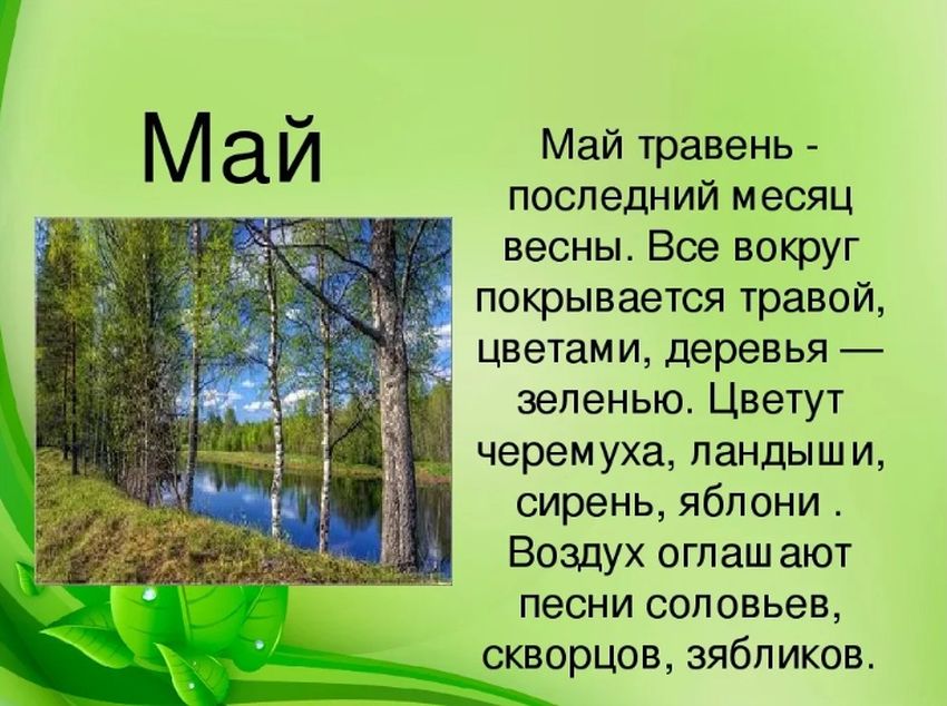 Месяц май картинки для детей