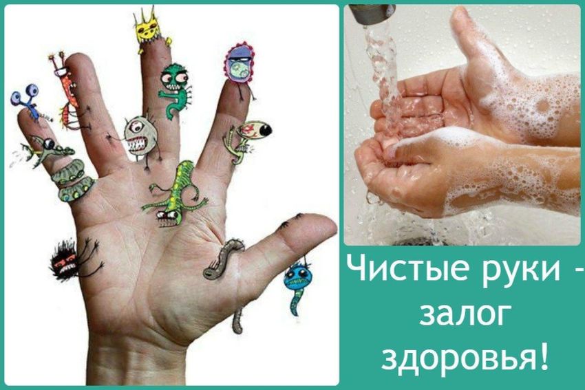Микробы на руках для детей