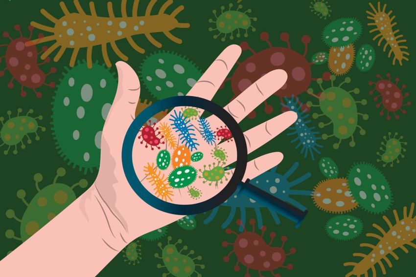 Лупа с микробами