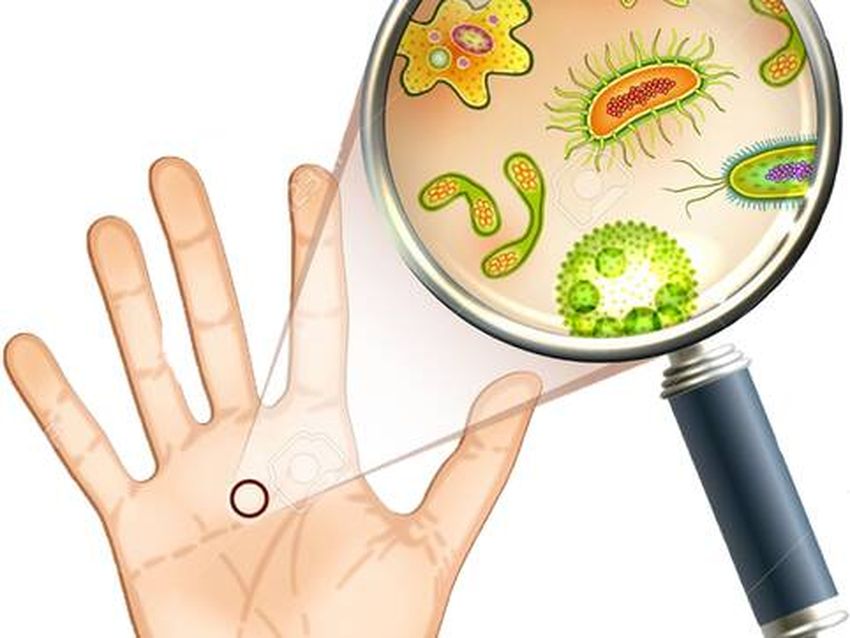 Бактерии на руках для детей