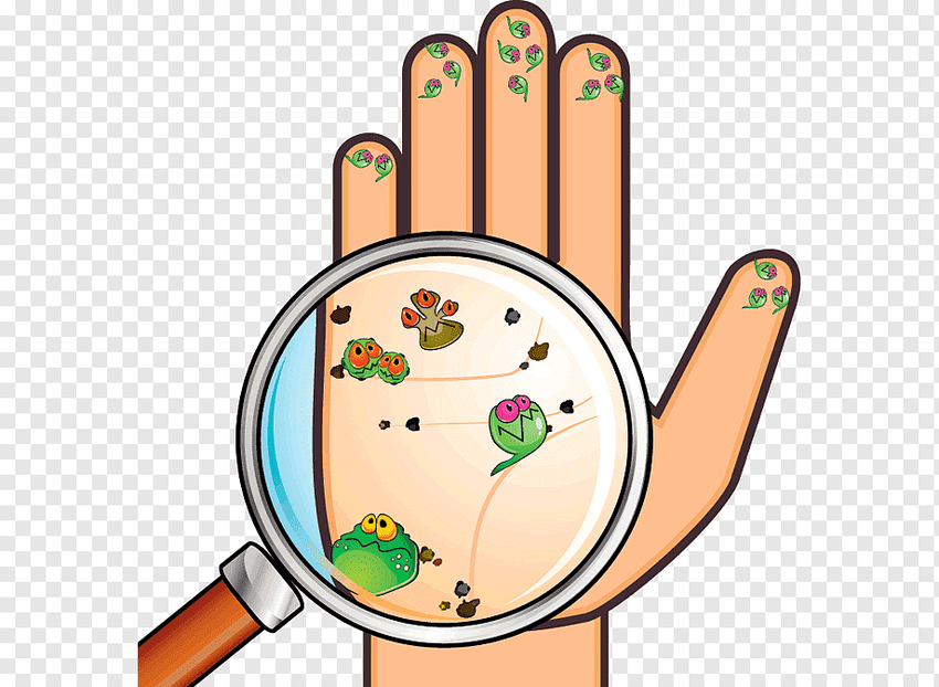 Бактерии на руках для детей