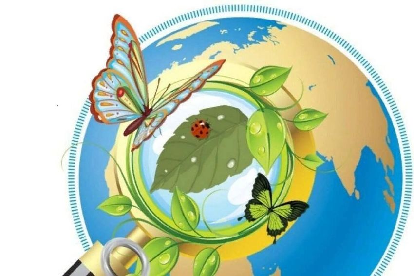 Экология эмблема Экология для детей