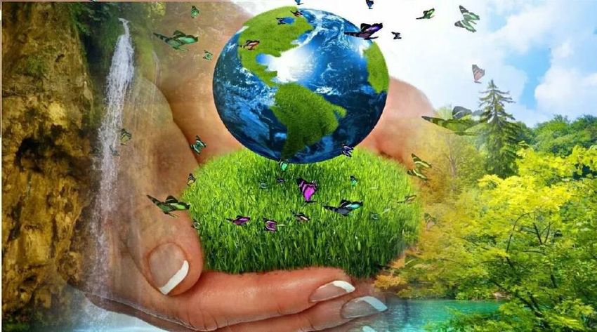 С днем эколога Природа земли