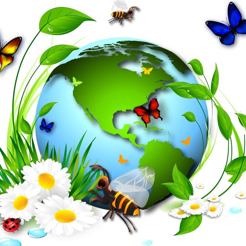 Экология для детей День земли