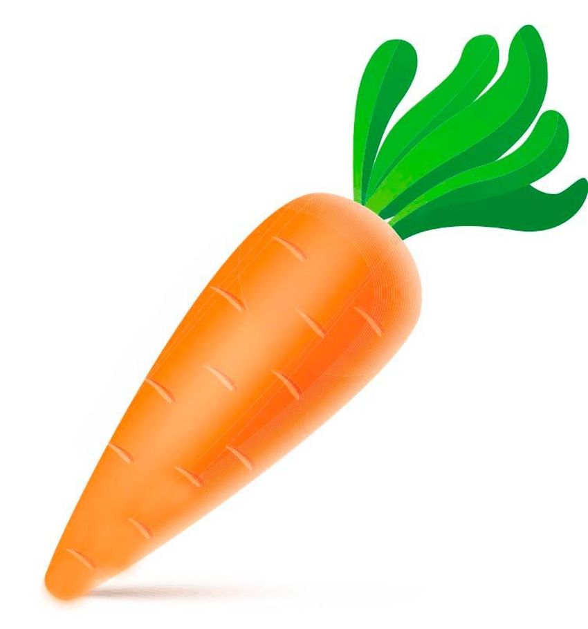 Carrot