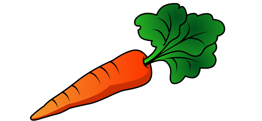 Рисунок моркови