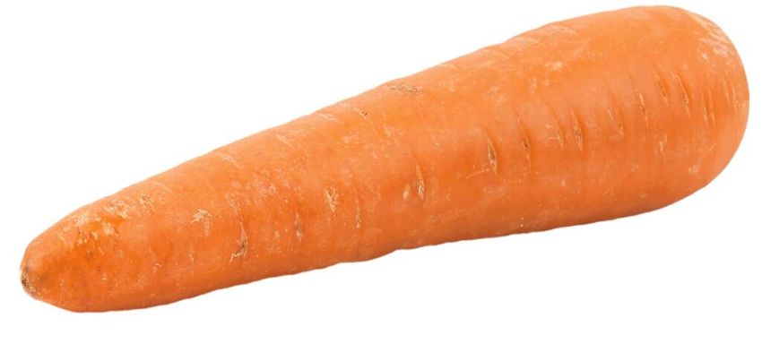 Морковь на белом фоне