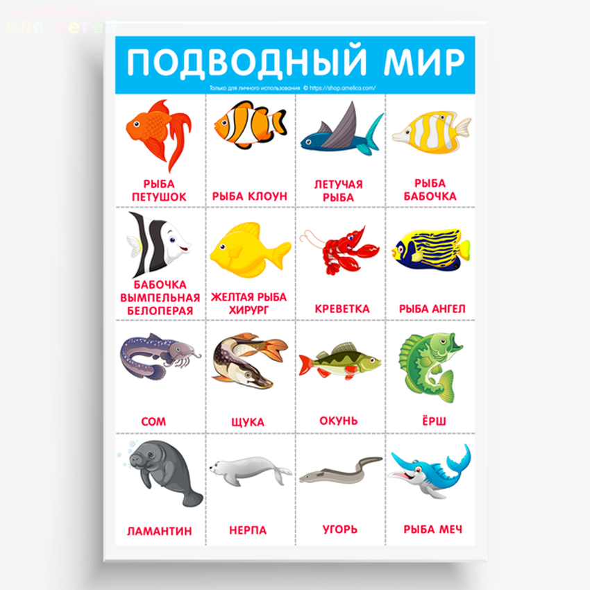 Рыбы для детей с названиями
