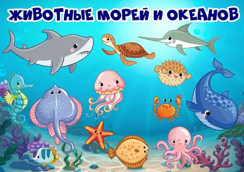 Морские обитатели для детей