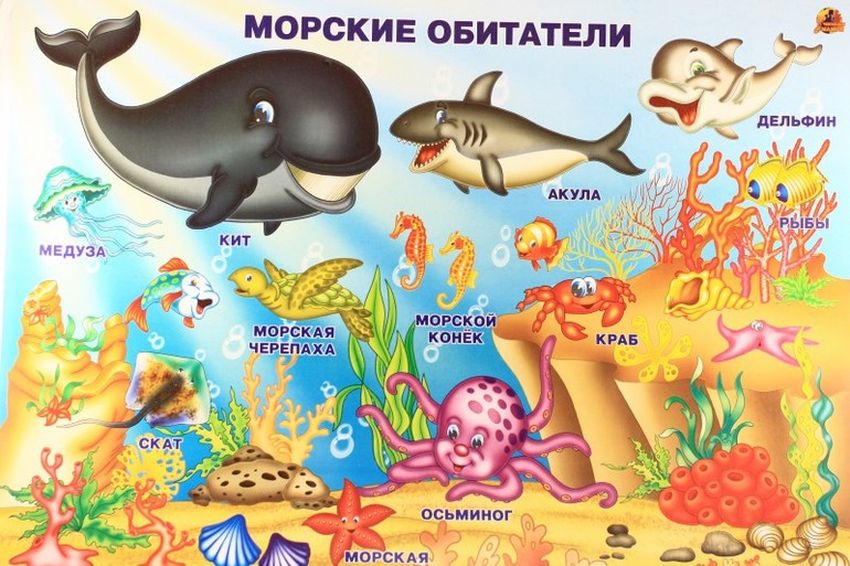 Морские обитатели для детей
