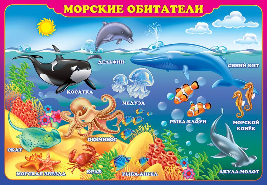 Морские обитатели для детей