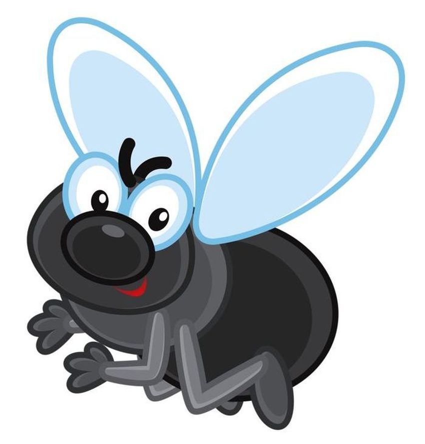 Мультяшная муха Муха на прозрачном фоне
