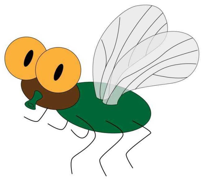 Муха Мультяшная муха