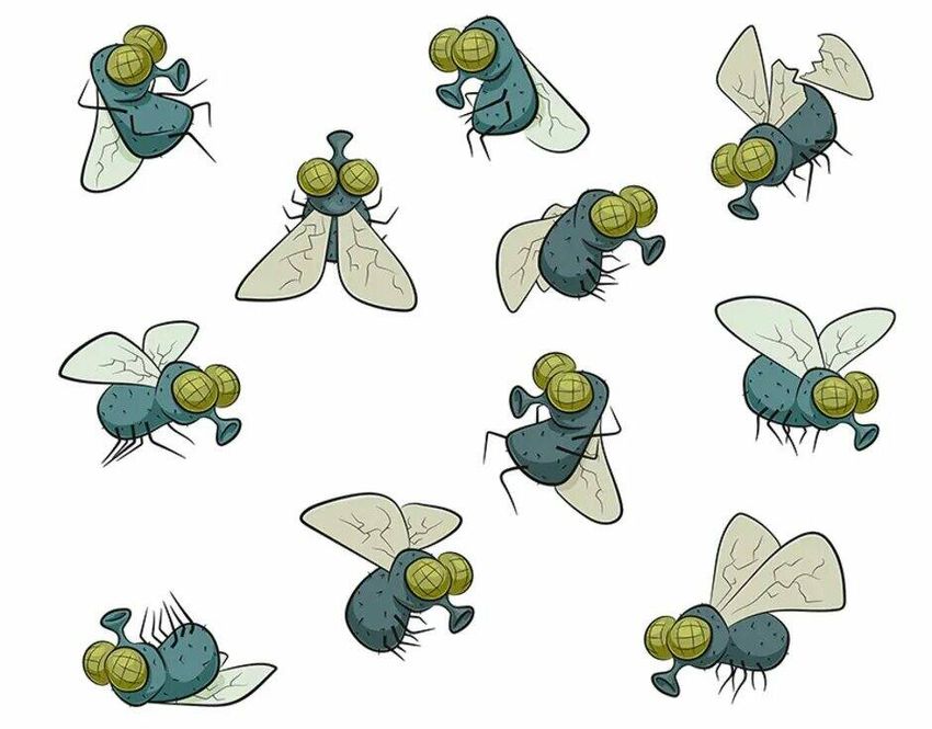 Муха рисунок Мультяшная муха