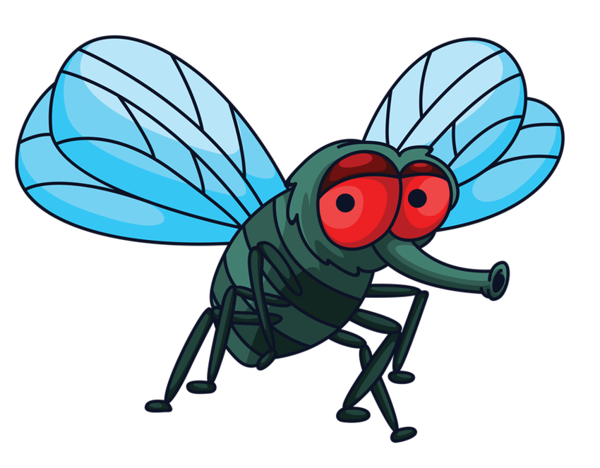 Мультяшная муха Муха