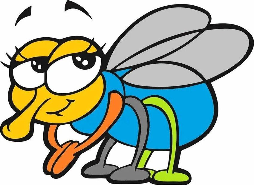 Раскраска муха Муха рисунок для детей