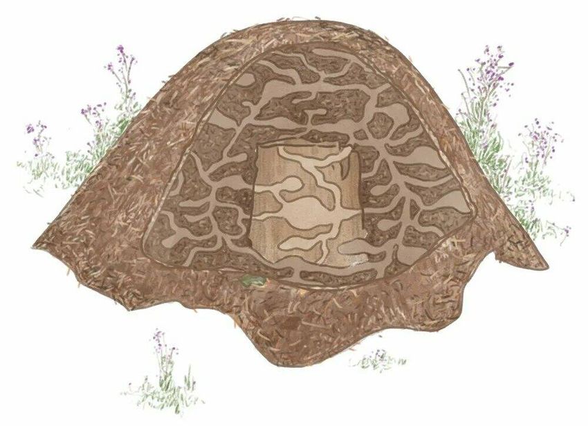 Муравейник Палатка берег уп 5