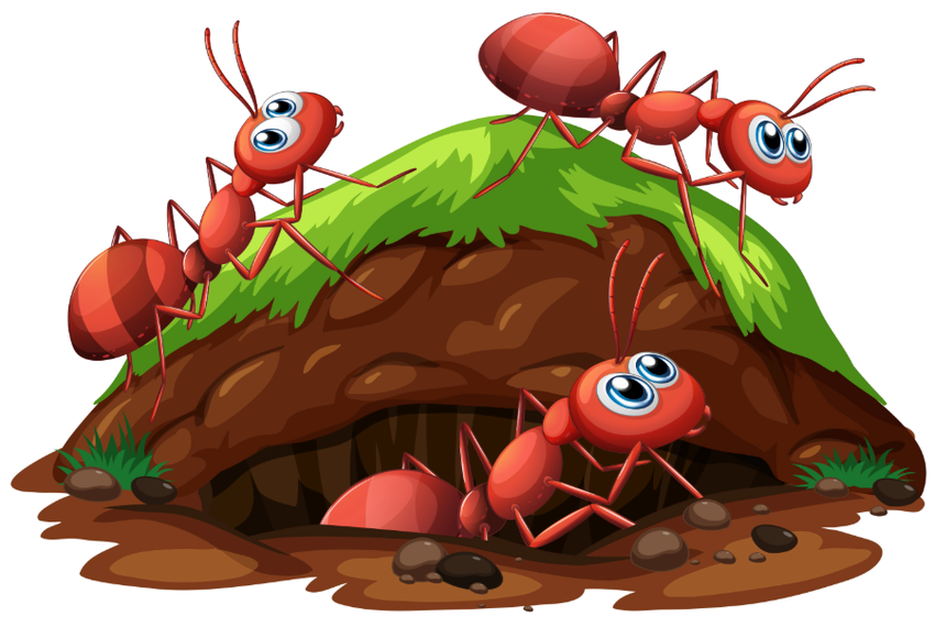 Рисунок муравейника Муравей без фона
