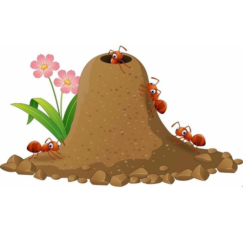 Рисунок муравейника Муравейник для детей